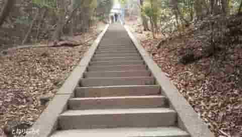 大文字山の階段